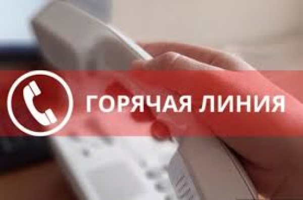 Департамент организует работу «Горячей телефонной линии»,«День открытых дверей»